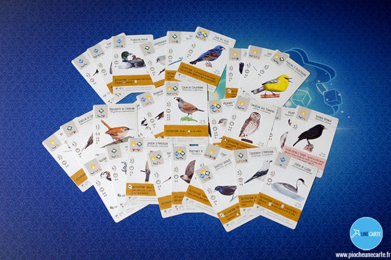 Wingspan : À tire d'ailes - Test du jeu d'oiseaux chez Matagot